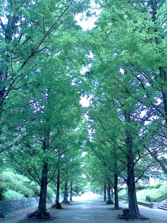 P2009_0504_130905.JPG