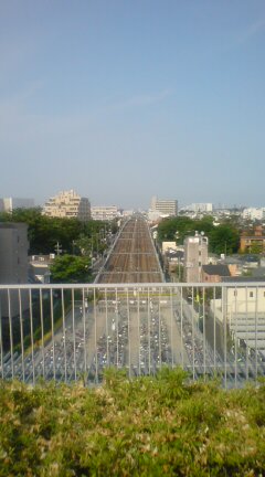 20090509155503.jpg