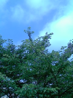 P2009_0619_080515.JPG