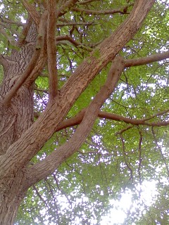 P2009_0705_144151.JPG