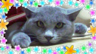 200811252140000_ed_ed.jpg