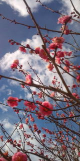 20100206123710.jpg