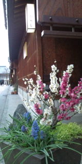 20100227170021.jpg
