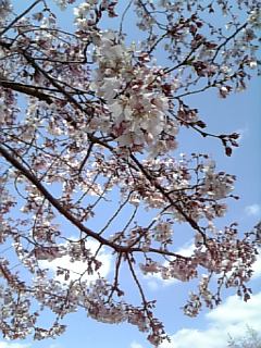 100322_133753.jpg