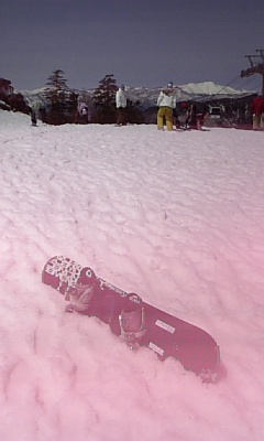 090418_110352.jpg