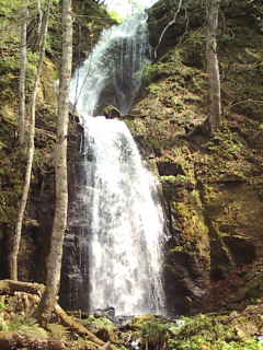 20090504130813.jpg