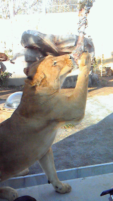 200910111556000.jpg