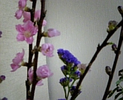 100227_225628.jpg
