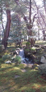 20100228110917.jpg
