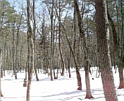 100314_134203.jpg