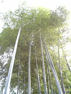 100322_140054.jpg