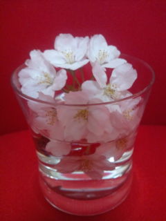 20100405002129.jpg