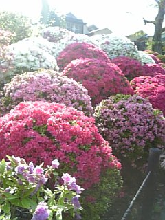 100425_151457.jpg