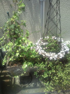 20100605115213.jpg
