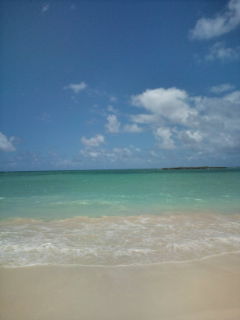 20100617123041.jpg