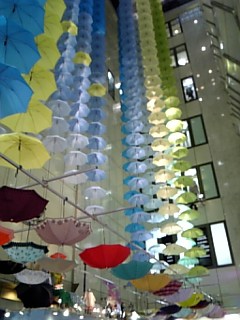 100619_180813.jpg