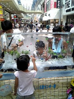 100808_111726.jpg